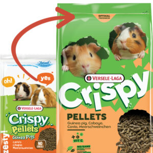 pellets cavia