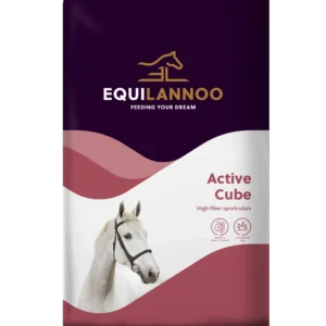 equilannoo