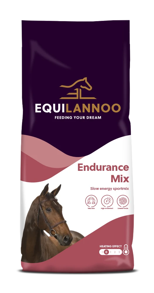 equilannoo