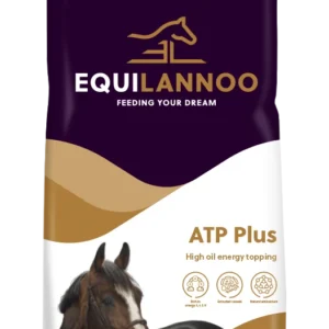 equilannoo