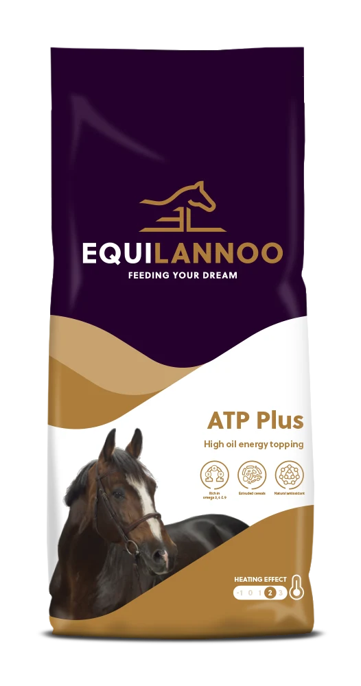 equilannoo