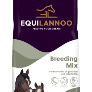 equilannoo