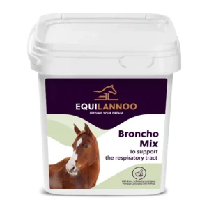equilannoo