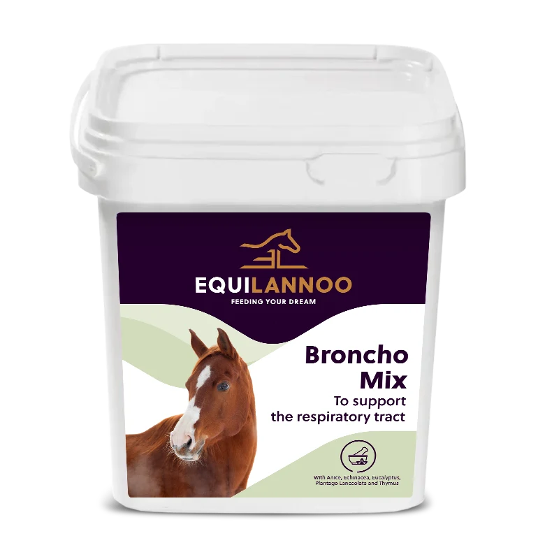equilannoo