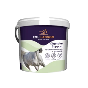 equilannoo