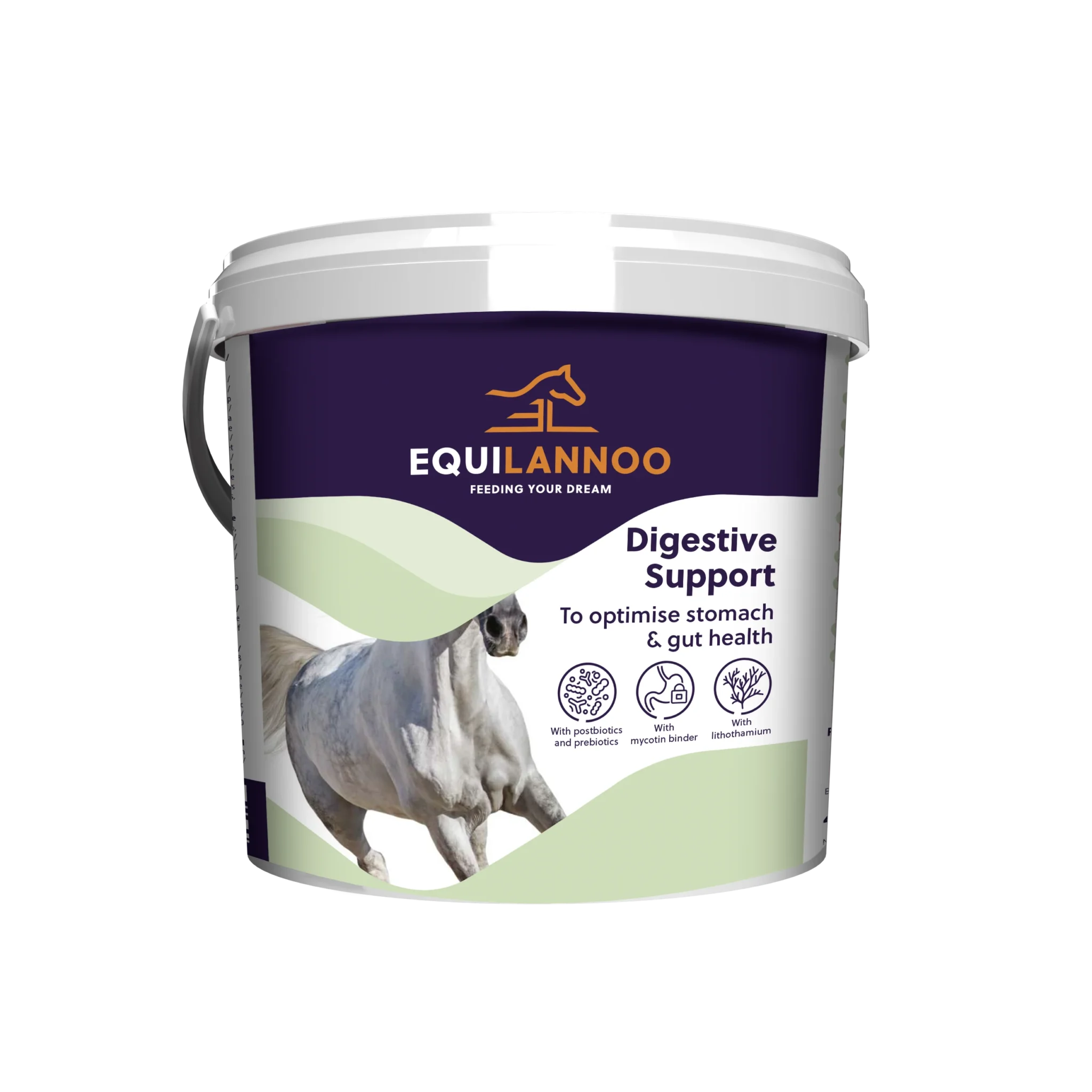 equilannoo