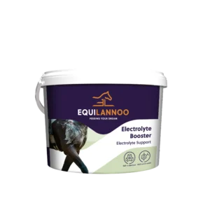 equilannoo