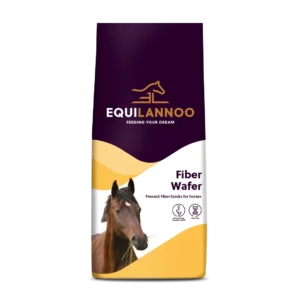 equilannoo