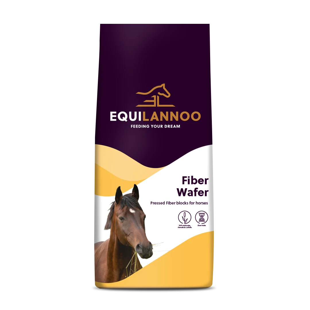 equilannoo