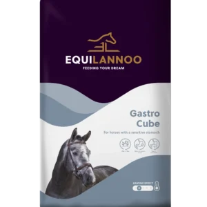 equilannoo