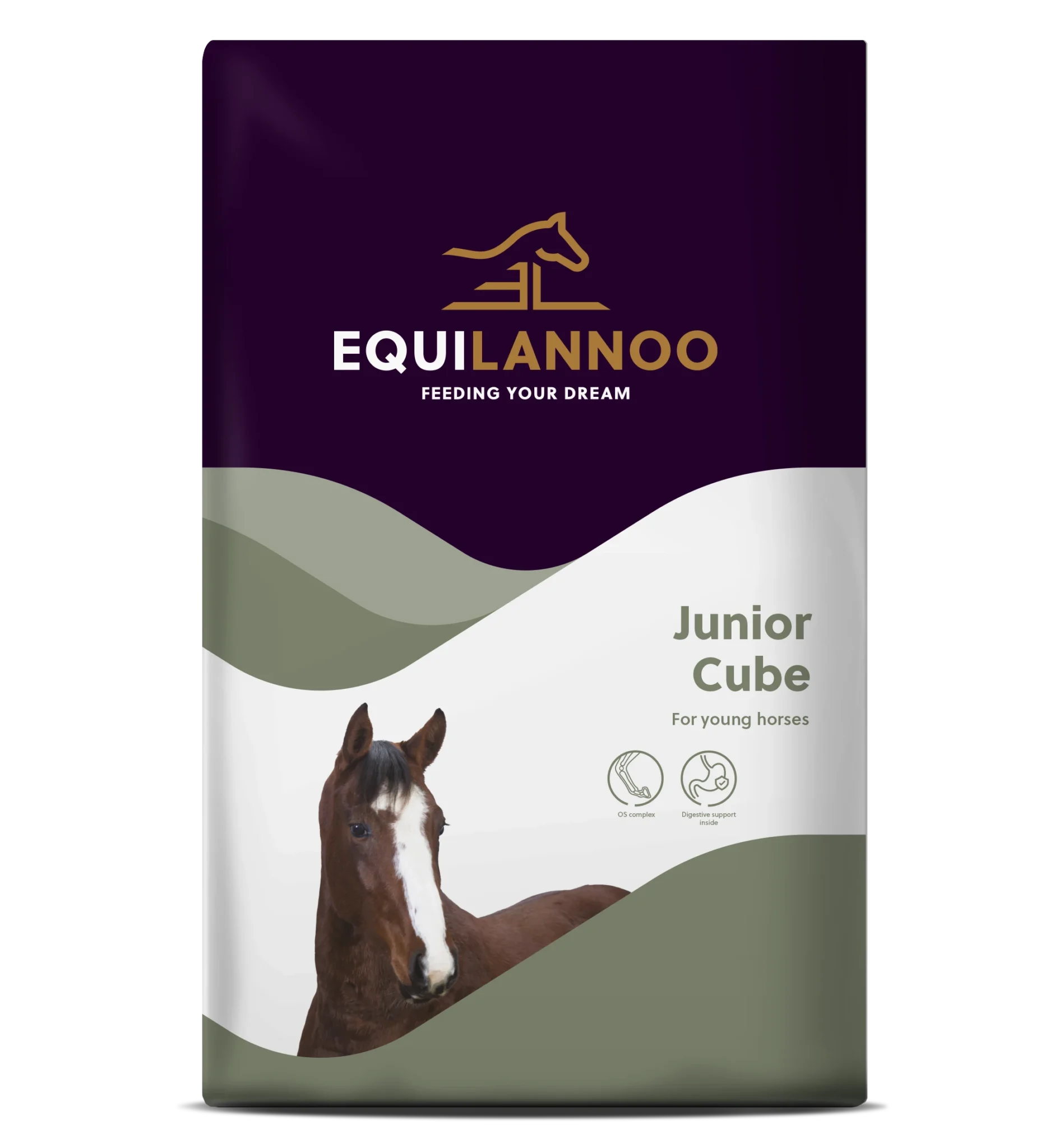 equilannoo