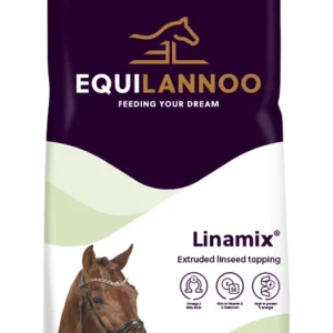 equilannoo