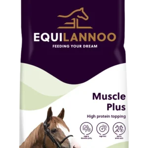 equilannoo