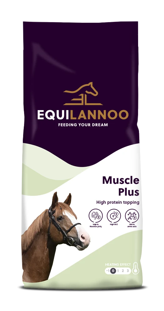equilannoo