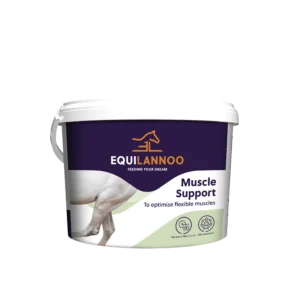 equilannoo