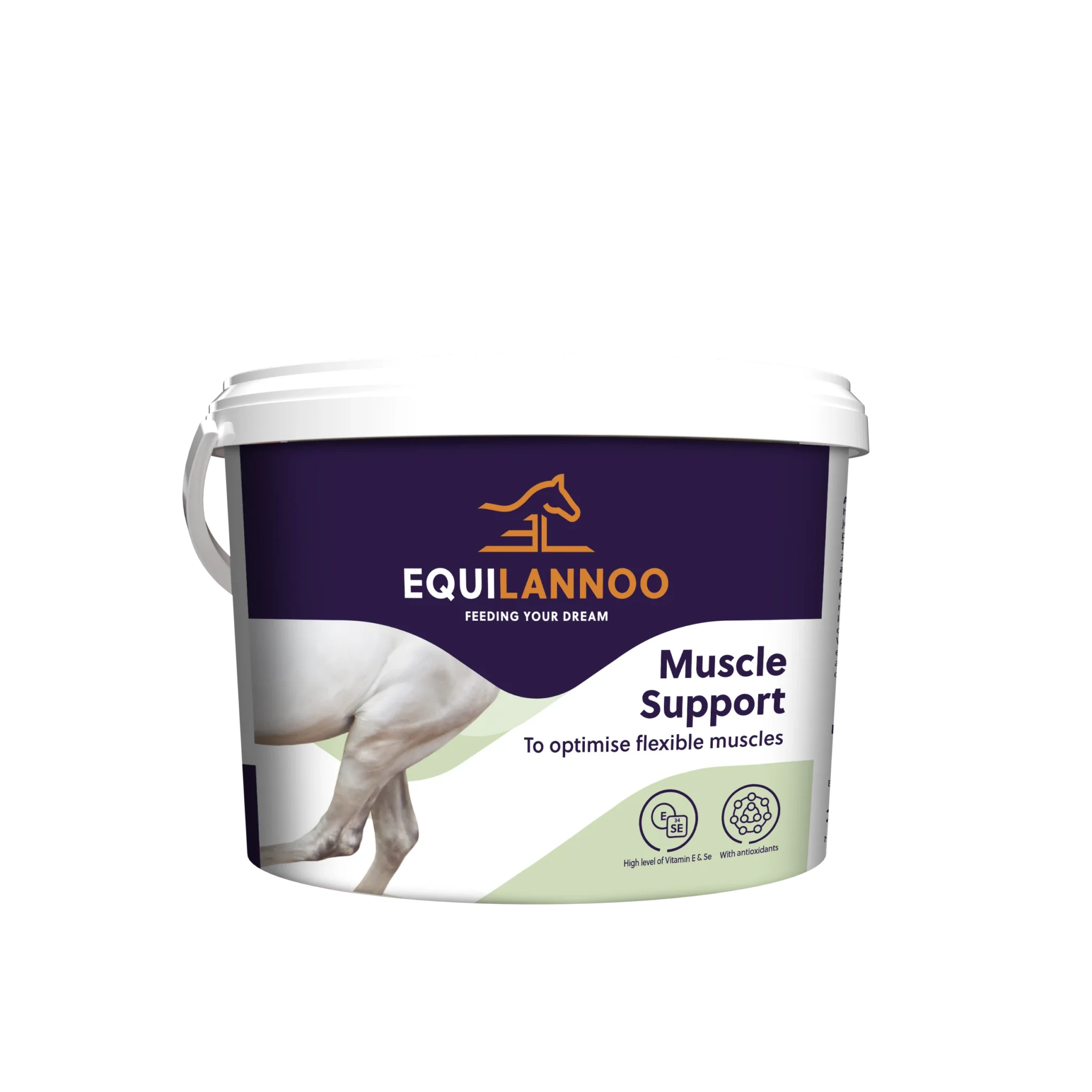 equilannoo