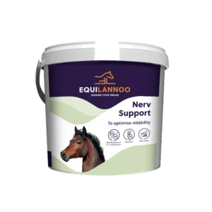 equilannoo