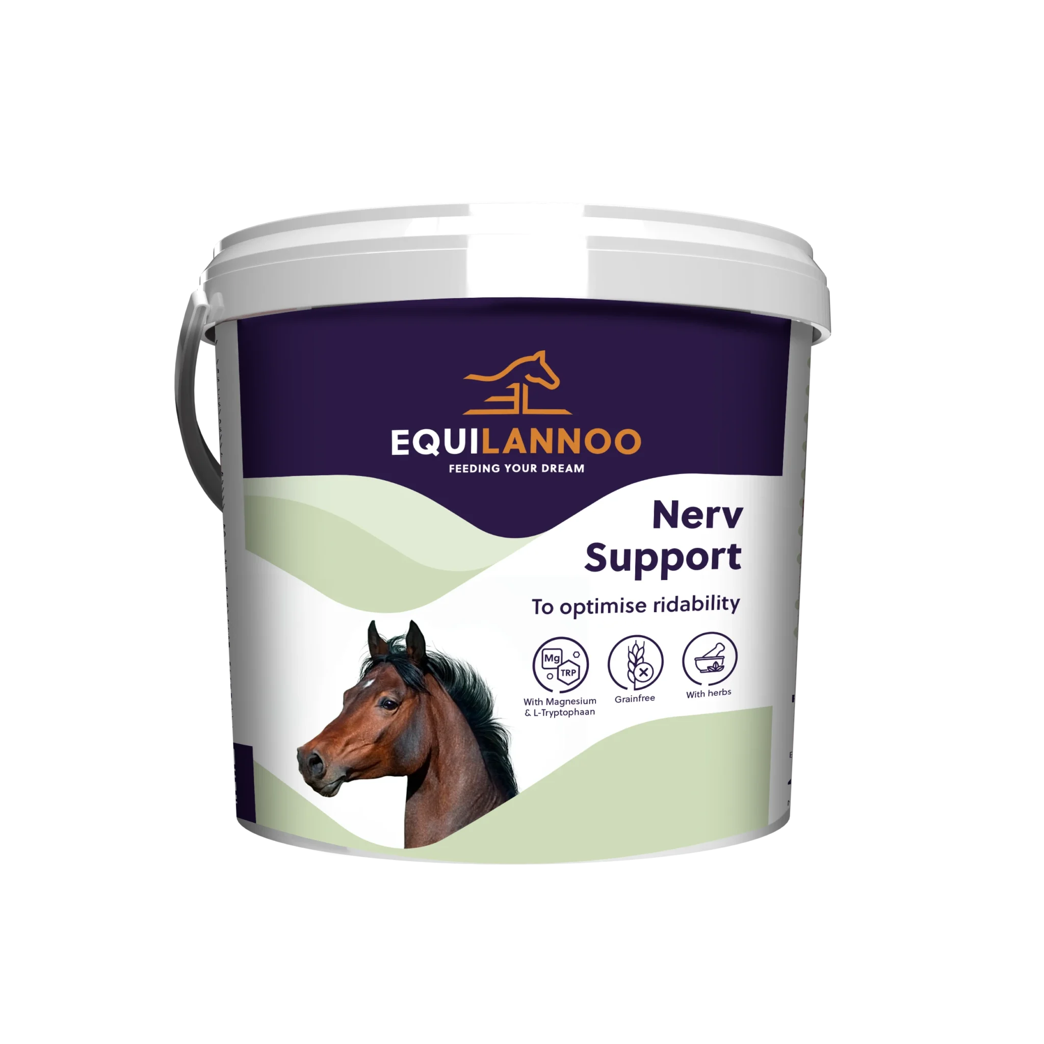 equilannoo