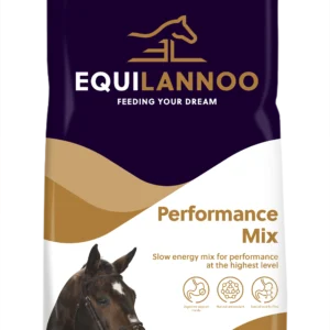 equilannoo