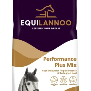 equilannoo