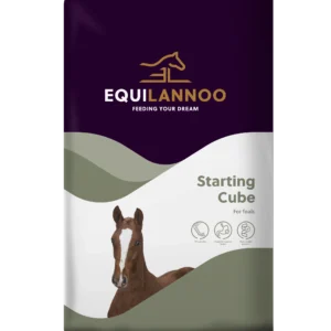 equilannoo