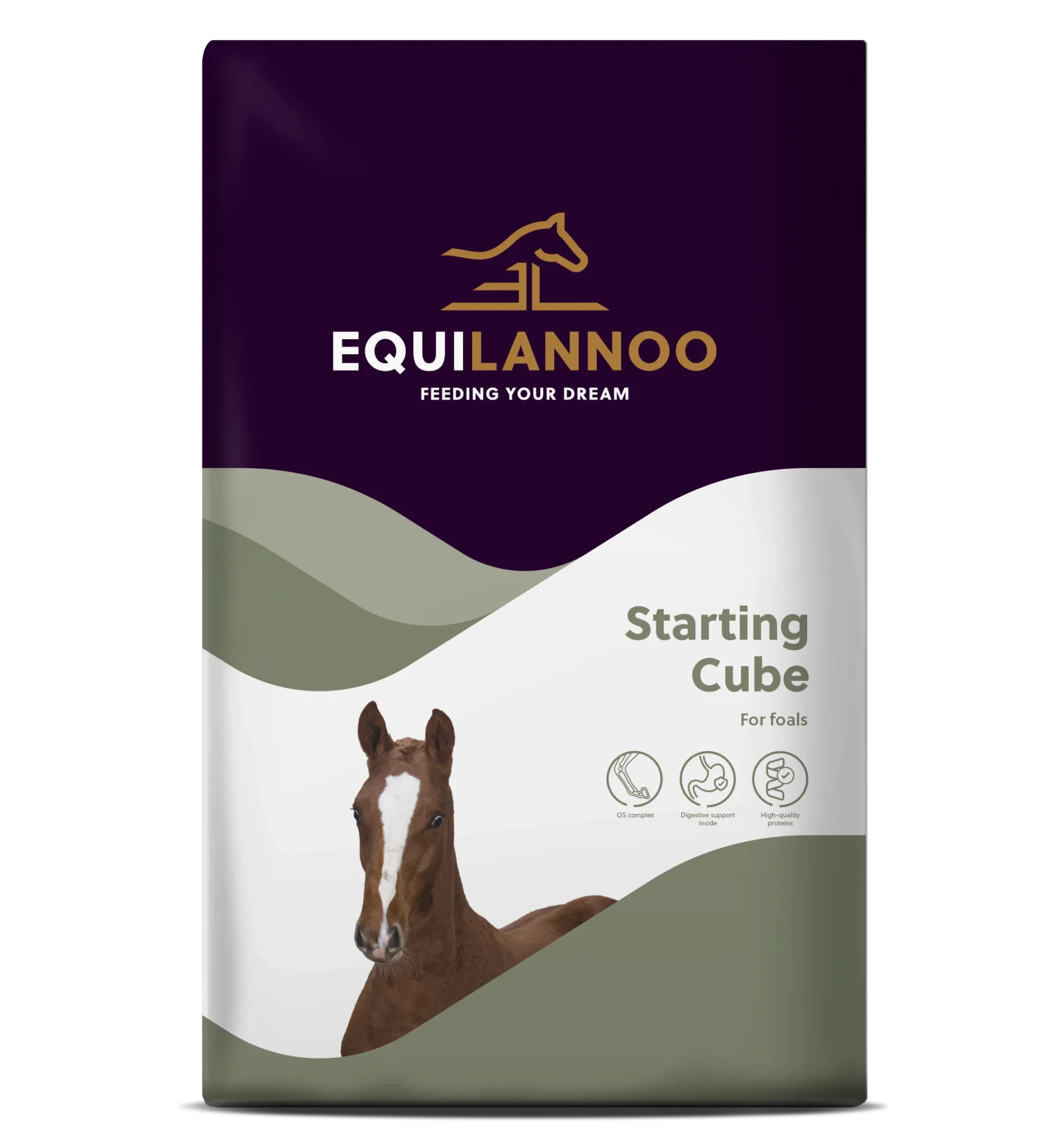 equilannoo