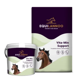 equilannoo