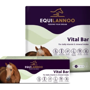 equilannoo