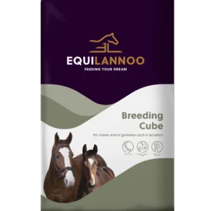 equilannoo