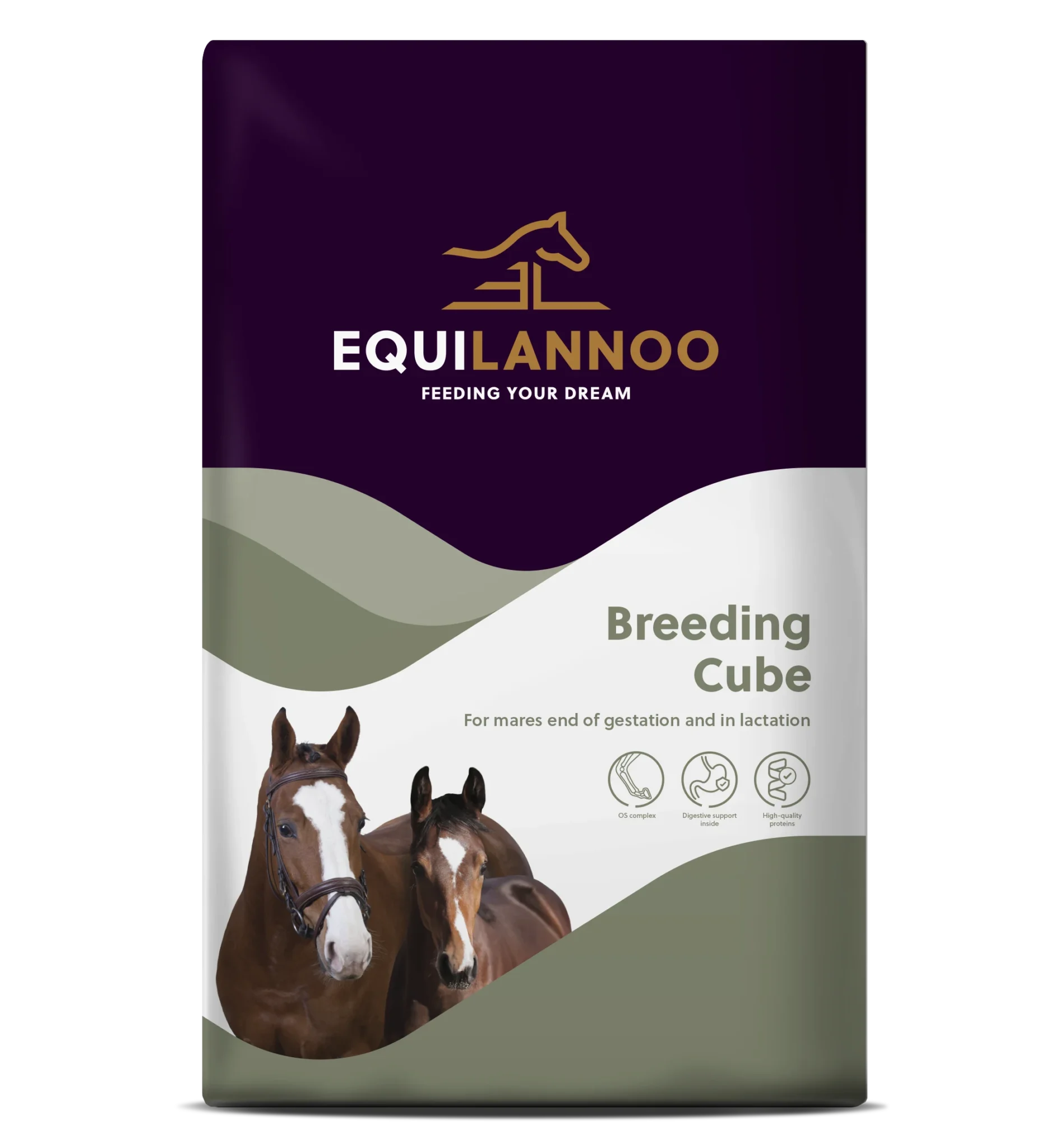 equilannoo