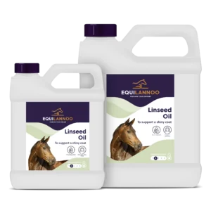 equilannoo