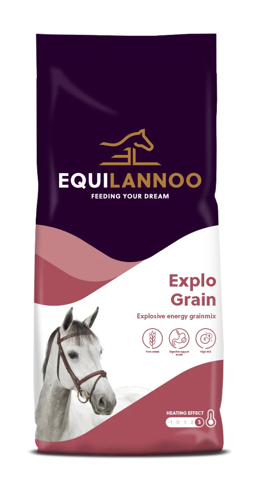 equilannoo