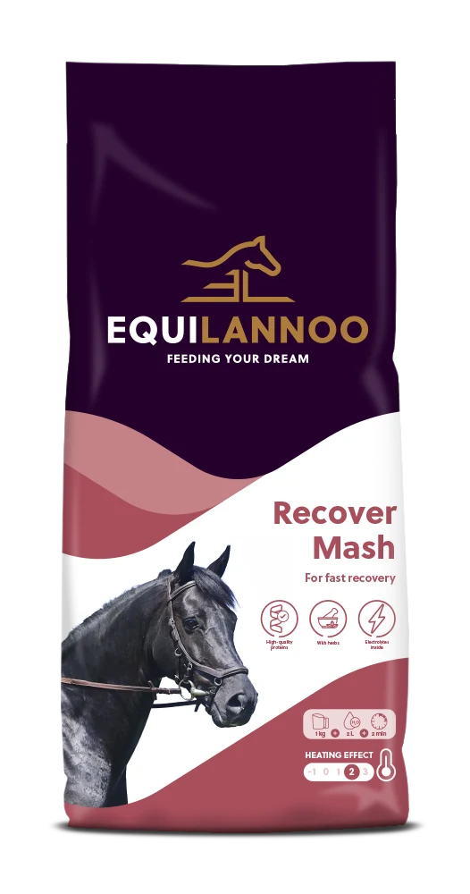 equilannoo