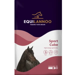 equilannoo
